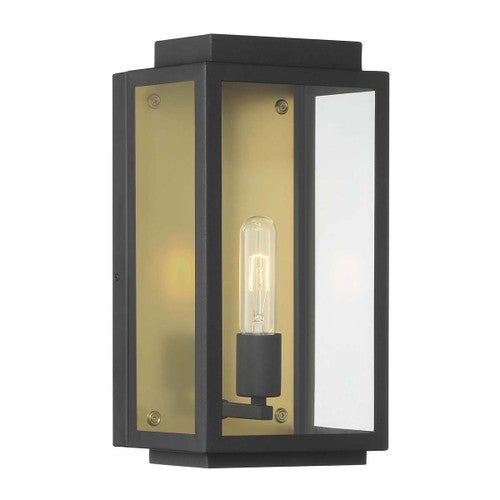 Lyra Indoor/Outdoor Wall Sconce - Small