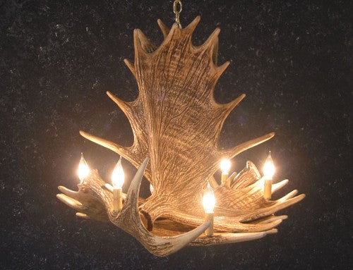 Moose 4 Antler Chandelier - Antique Brass - CLEARANCE