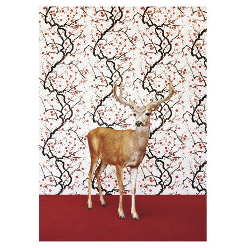 Posh Deer Canvas Art