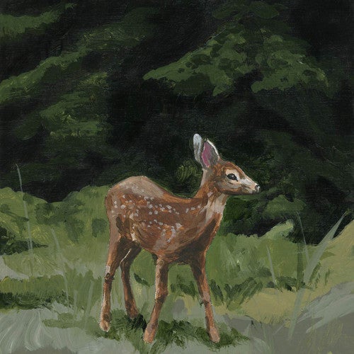 Forest Explorer Fawn Canvas Print