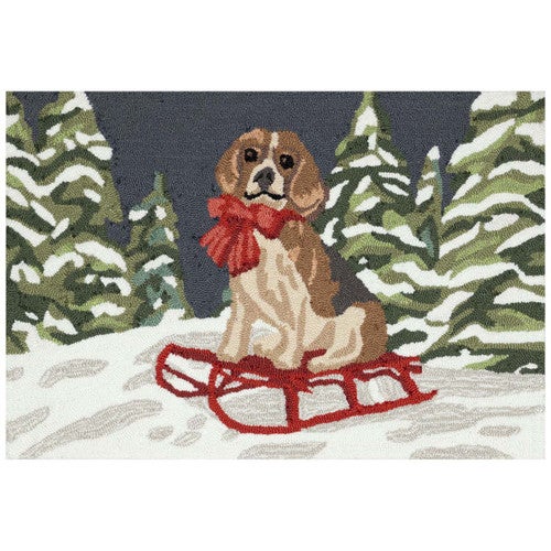 Frosty Paws Floor Mat - 20 x 30