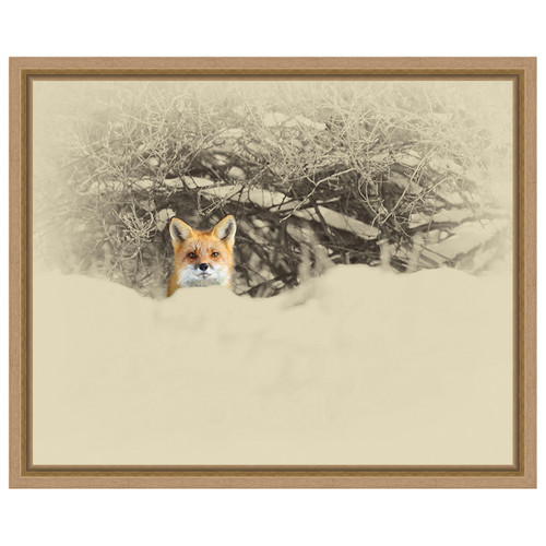 Behind a Snow Bank Framed Canvas