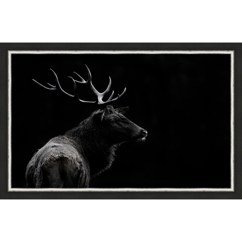 Black & White Deer Profile Framed Canvas