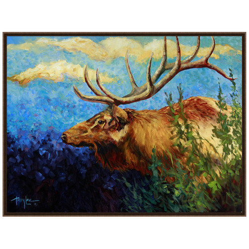 Blue Mountain Elk Canvas Art