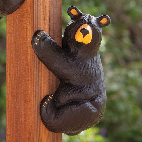 Righty Climbing Black Bear