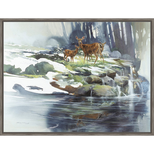 Calm Waters Framed Canvas