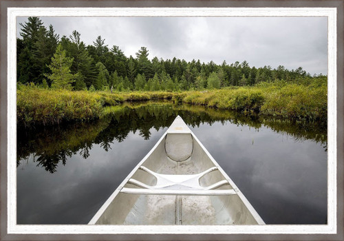 Canoeing Through the Forest Framed Wall Art