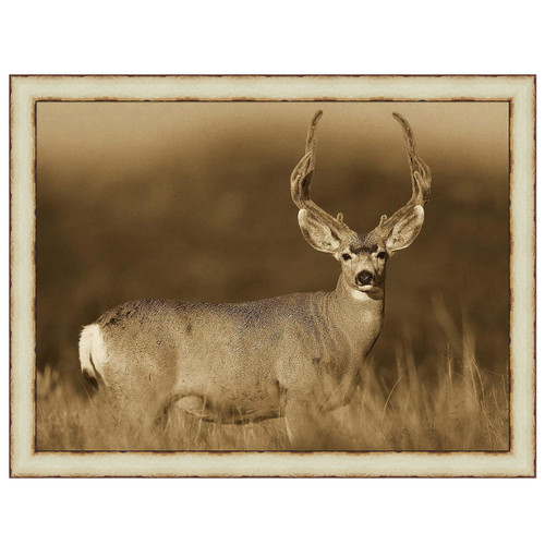 Caspian Deer Framed Art