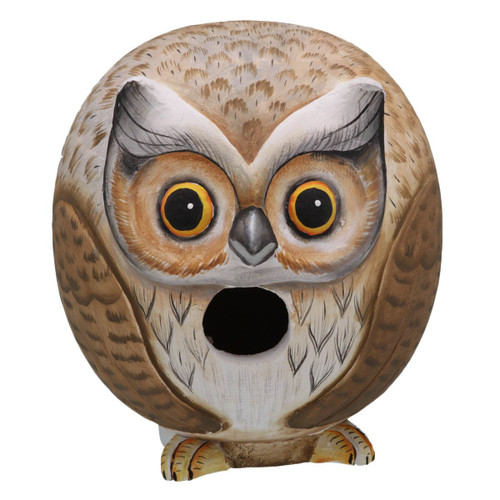 Curious Owl Birdhouse