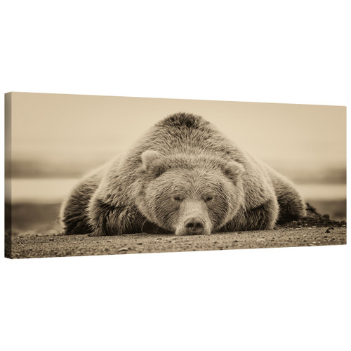Deep Sleep Mirror Wrapped Canvas