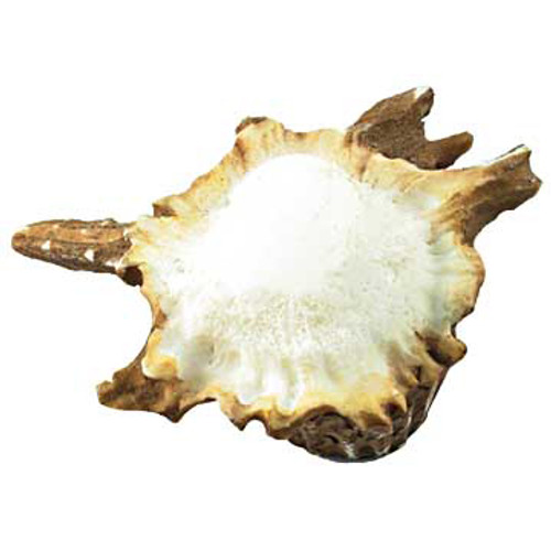 Deer Burr Cabinet Knob - Free-Form - Set of 2