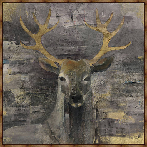 Deer Portrait II Framed Canvas
