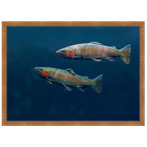 Docile Depths Trout Wall Art