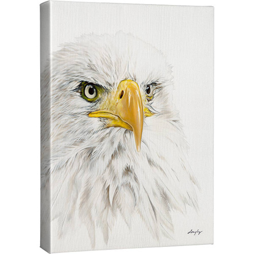 Eagle Eyes Canvas Art