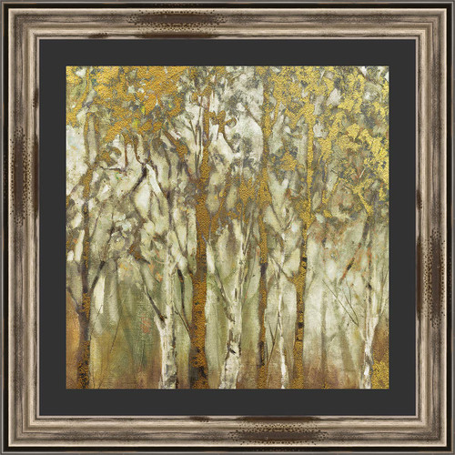 Eastern Birch Forest  Framed Print