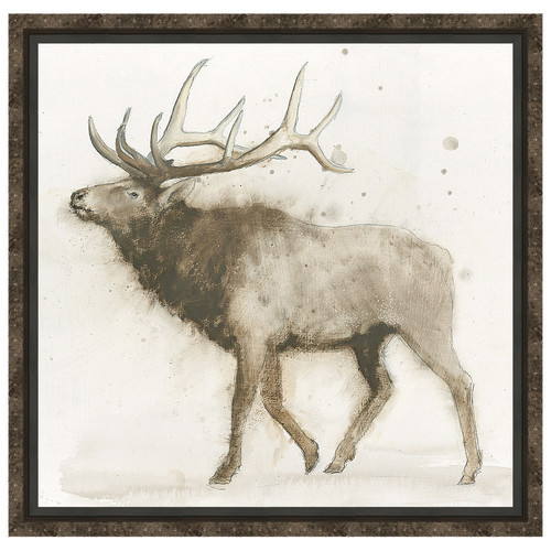 Elk 2 Framed Canvas