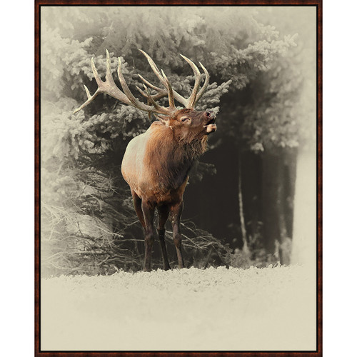 Elk Cry Framed Canvas