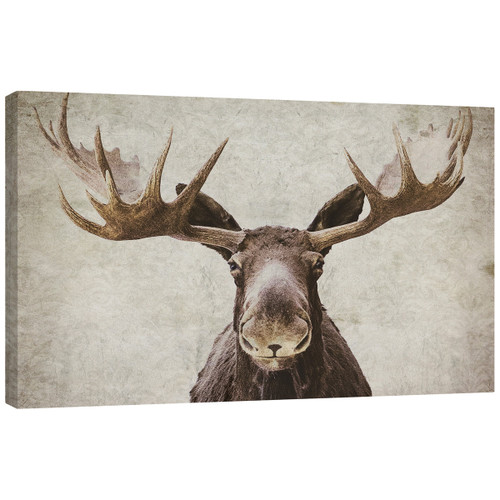 Elmer Mirror Wrapped Canvas