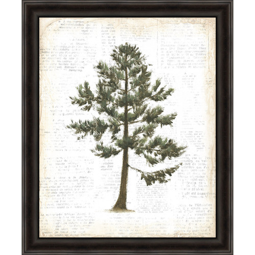 Evergreen Journal I Framed Canvas