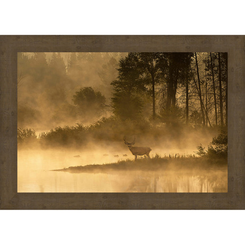 Foggy Morning Forest Framed Canvas