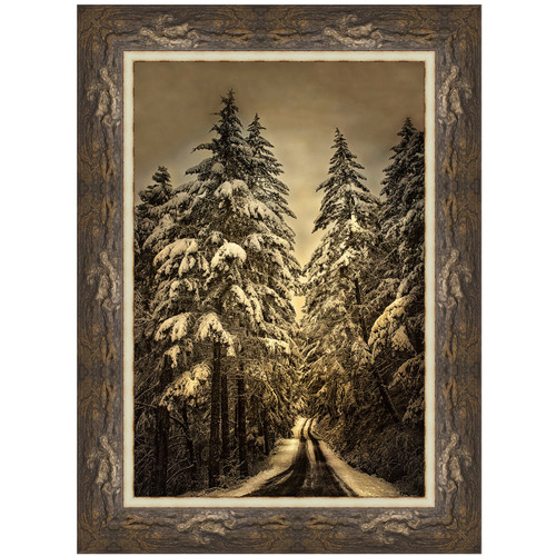 Forest Road in Winter Framed Art