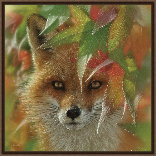 Foxy Gaze Canvas Art