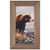 Fresh Air Framed Canvas