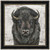 Gazing Bison Canvas Art