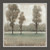 Glistening Trees II Framed Print