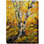 Golden Aspen Canvas Art