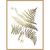 Golden Fern I Framed Print