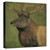 Green Elk Gallery Wrapped Canvas