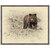 Grizzly Cub 1 Framed Canvas