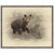 Grizzly Cub 2 Framed Canvas