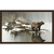 Grizzly Winter Pond Framed Canvas
