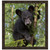 Hanging Around I Framed Art