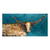 Kaleidoscope Longhorn Canvas Art - 36 x 18