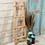 Kiva Ladder - 2 Ft.