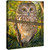 Little Owl Canvas Art