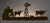Longhorn Back Lit Wall Art