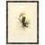 Macro Lures VII Framed Print
