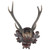 Medium Black Forest Antler Plaque