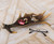 Moose Antler Tray