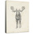 Moose Pencil Sketch Canvas Wall Art
