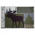 Timberline Moose Accent Rug