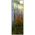 Morning Aspens I Framed Art
