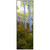 Morning Aspens II Framed Art