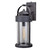 Mountaineer Indoor/Outdoor Wall Lamp - 6 Inch