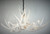 Mule Deer 6 Antler White Chandelier