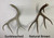 Real Mule Deer Antler Chandelier - Medium